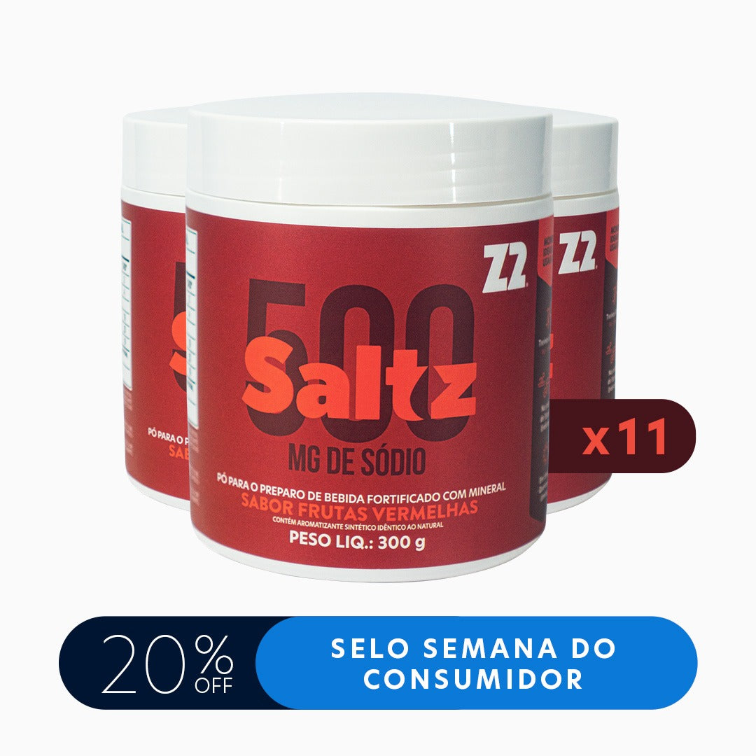 Master Pack Saltz 500 Z2 Frutas Vermelhas | Caixa com 11 potes 300g