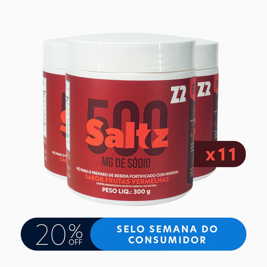 Master Pack Saltz 500 Z2 Frutas Vermelhas | Caixa com 11 potes 300g